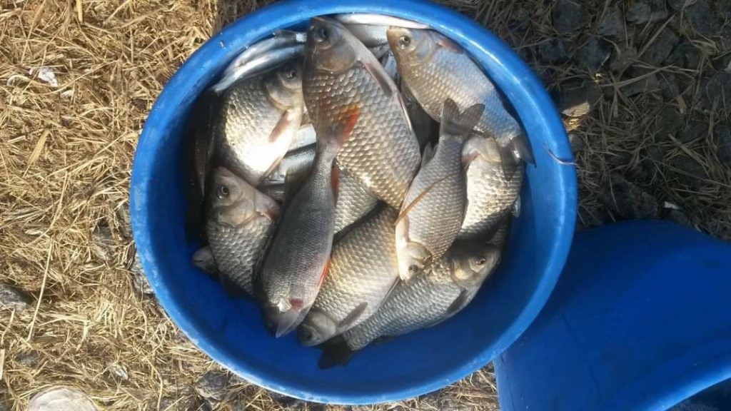 Ловля карася зимой (7).jpg